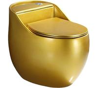 Aioneer Toilettes monobloc à double chasse d'eau avec siège à fermeture douce, hauteur confort universelle, cuvette en céramique siphonique pour hôtel, maison, salle de bain