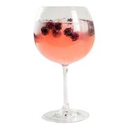 AIOS Avenue Lot de 2 grands verres à gin en plastique Tritan incassables sans BPA 650 ml Idéal pour l'intérieur ou l'extérieur Passe au lave-vaisselle