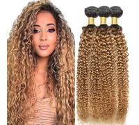 AiPliantfis Curly Wave Bundles Human Hair Cheveux Humain Human Hair Extensions Tissage Cheveux 1B27 Ombre Blond Double Weft Unprocessed Virgin Remy Hair for Women 3 Bündel 18 20 22 Pouce