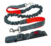 Aiqeer Gris Laisse Chien Mains Libres, Ceinture Réglable Élastique Rétractable, Laisse Jogging avec Coutures Réfléchissantes (Poignée Orange)