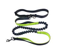 Aiqeer Gris Laisse Chien Mains Libres, Ceinture Réglable et Élastique Rétractable pour Jogging, Avec Coutures Réfléchissantes (Poignée Vert)