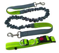 Aiqeer Laisse Chien Mains Libres, Ceinture Réglable Vert Élastique Rétractable Gris, Laisse Jogging avec Coutures Réfléchissantes