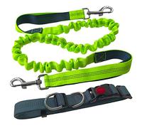 Aiqeer Laisse mains libres pour chien - Ceinture réglable grise - Laisse élastique verte avec coutures réfléchissantes