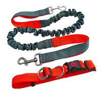 Aiqeer Laisse mains libres pour chien - Ceinture réglable orange élastique grise avec coutures réfléchissantes