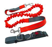 Aiqeer Laisse mains libres pour chien, orange, ceinture réglable, laisse élastique extensible, jogging avec coutures réfléchissantes (poignée grise)