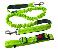 Aiqeer Vert Laisse Chien Mains Libres, Ceinture Réglable et Élastique Rétractable pour Jogging, Avec Coutures Réfléchissantes (Poignée Gris)