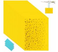 AiQInu 30 Pièges Anti Moucherons Interieur, Attrape Mouche Interieur Jaunes, Anti Pucerons Plantes Exterieur Attrape Mouche Collant pour la Lutte Contre Les Parasites des Plantes D'intérieur(13x9cm)