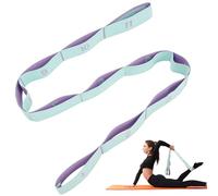 AiQInu Bande Elastique Musculation,11 Niveaux de Forces Bande Elastique Musculation, Sport Bande de Résistance Bande Elastique Fitness pour Entraînement Gym Fitness Pilates Yoga