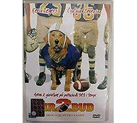 Air Bud 2