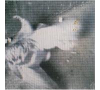 Air Conditioning - Dead Rails [Import]