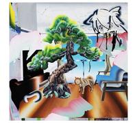 Hakushi Hasegawa – Air Ni Ni – Vinyle 12" coloré – Édition limitée