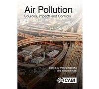 Air Pollution: Sources, Impacts and Controls - [Version Originale] Inconnu (Auteur)