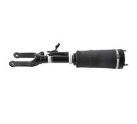 Air Suspension Pneumatic Shock Struts for Mercedes R Class W251 2513203113 Avant