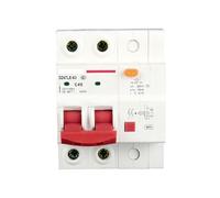 Air Switch Small Air Circuit Breaker, Mini-disjoncteur DZ47 10 A-63 A 1P/2P, protection contre les fuites, interrupteur principal(2p,10A)