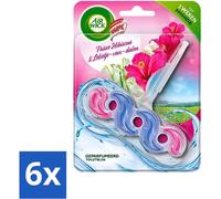 Air Wick bloc WC parfumé - Hibiscus frais et muguet - 1 pièce - Pack avantage - 6 pièces