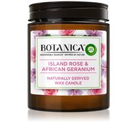 Air Wick Botanica Island Rose & African Geranium Bougie Parfumée Arôme Rose 205 G