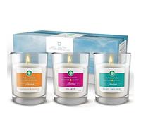 Air Wick Coffret Bougies parfumées d'Aromathérapie aux huiles essentielles - Jusqu'à 120h de Combustion (Lot de 3) - Cadeau de Fête de mères