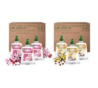 Air Wick Désodorisant Maison Spray Automatique Sans Gaz | Air Wick Désodorisant Maison Active Fresh, 6 recharges : 3 Fleur de Cerisier & Framboise + 3 Vanille & Beurre de Karité