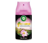 AIR WICK - Freshmatic Recharge Rare Fleur 250Ml - Lot De 3 - Offre Special
