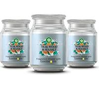 Air Wick Grande bougie parfumée en pot, teck & sel marin aux huiles essentielles, 1 pièce
