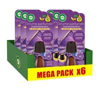 AIR WICK Lot de 6 Recharges Essential Mist Lavande et Jacinthes des Bois