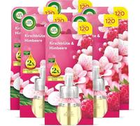 Air Wick Recharge pour prise de parfum - Parfum : fleur de cerisier et framboise - Parfum d'ambiance fruité et floral pour prise de courant - 6 recharges d'huile parfumée de 19 ml