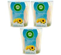 Air Wick SOMMERBRISE Bougie Parfumée 3 x 105g Parfum d'Été