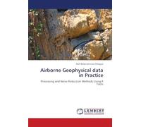 Airborne Geophysical data in Practice: Processing and Noise Reduction Methods Using R Tools