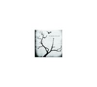 Airborne Toxic Event