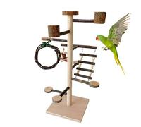 Aire de Jeu destinée aux Oiseaux,Jungle Gym en Bois Accessoires de Cage | Gym De Jeu pour Calopsitte,pour Usage Domestique : Conures, Pinsons, Perruches, Perruches Ondulées, Inséparables, Calopsittes