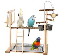 Aire De Jeux pour Oiseaux, Terrain De Jeu pour Perroquet, Support De Jeu pour Oiseaux avec Mangeoire, Échelle, Balançoire Et Plateau, des OiseauxS Playstand, Aire De Jeus pour Perroquet