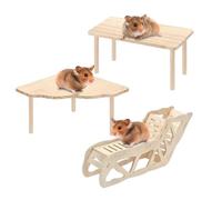 Aire de x pour hamster nain Aire de en bois pour gerbille