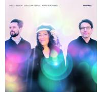 Airelle Besson, Sebastian Sternal & Jonas Burgwinkel Surprise (Vinyl) 12" Album