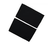 Filtre à charbon (2pcs) longue durée d'origine Blaupunkt 5Z9105X1