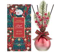 Airkeep Diffuseur de Parfum 150ml, Apple Cinnamon Reed Diffuser Set, Parfum d Ambiance Maison, Décoration de Noël pour Chambre, Salon, Salle de Bain, Bureau