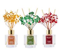 Airkeep Diffuseur de Parfum 50ml*3, Coconut Pineapple/Lemon Eucalyptus/Cranberry Apple Diffuseur Parfum Maison avec 24 Bâtonnets Diffuseur Parfum, Decoration pour Chambre, Salon, Salle de Bain, Bureau