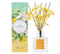Airkeep Diffuseur de Parfum Lemon Eucalyptus 100ml avec 8 Bâtonnets, Diffuseur Parfum Maison pour Chambre Salon Salle de Bain Bureau