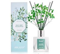Airkeep Diffuseur de Parfum Wild Mint & Eucalyptus 100ml avec 8 Bâtonnets, Diffuseur Parfum Maison pour Chambre Salon Salle de Bain Bureau
