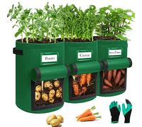 Airminti Lot de 3 sacs de plantation de pommes de terre de 10 litres avec poignées stables et rabat visuel, pots en non-tissé épais et respirants avec gants de jardinage pour tomates, pommes de terre