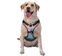 Airplane in The Evening Lights Pet Traction Gilet Harness Dog Harness Medium Size Dog Supplies Pet Supplies Outdoor Travel Dog Walking