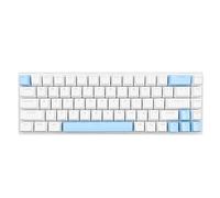Airshi Clavier Mécanique, Conception Ergonomique Compacte Portable 68 Touches Clavier Rétro-éclairage LED RVB pour PC (Blanc Bleu)