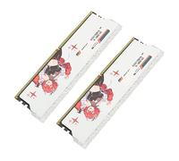 Airshi Module de Mémoire de Bureau, Coque en Alliage d'aluminium XMP2.0 1,4 V Tension de Fonctionnement DDR4 RAM Performances Stables pour Ordinateur de Bureau (16 Go (2x8 Go))