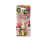 Airwick Recharge Magnolia & fleur de cerisier 19 ml, Lot de 3 (3 x 19 ml)