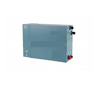 AIRYSSFU Chauffe-piscines, 6 KW Saune de générateur de Vapeur Saune de Douche de la Machine à Vapeur Sauna Humide Spa Douche à Vapeur avec contrôleur numérique