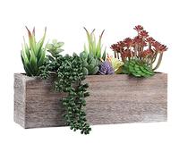 Aisamco 1 pièce Plante Succulente Artificielle Assortiment de Plantes Succulentes dans Une Boîte en Bois Rustique Plantes Succulentes Artificielles en Pot pour la Décoration de Mariage à la Maison