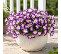 Aisamco 12 Fleurs Soie Extérieur UV Résistant | Gloire du matin colorées, Eucalyptus, Porte entrée jardinière, Porche patio cour, Plante fausse