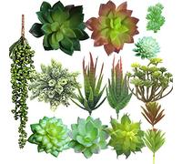 Aisamco 14 Succulentes Artificielles Faux Mix