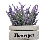 Aisamco Fleur de Lavande Artificielle dans Une Boîte en Bois Faux Branches de Lavande Plantes Plantes en Pot Plante de Fleur Artificielle pour Décoration Florale de Fête