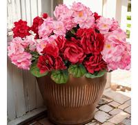 Aisamco Fleurs Artificielles pour la Décoration Extérieure, 6 Paquets de Fausses Fleurs de Géraniums en Soie, Plantes Résistantes aux UV pour Jardin Maison Jardinière Fenêtres Cour Table