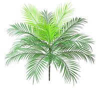 Aisamco - Plante Artificielle en Feuilles de Palmier Tropical Artificiel en Vert 1 Pcs - Plante en Plastique - 15 Feuilles - Hauteur de 63 cm - Composition Florale - Accent de Verdure